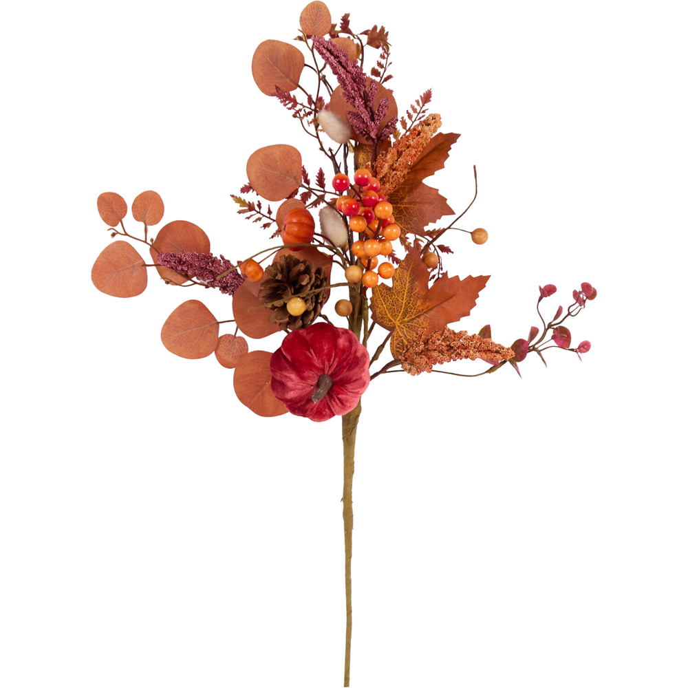 Autumnal Plum Pick Image 2