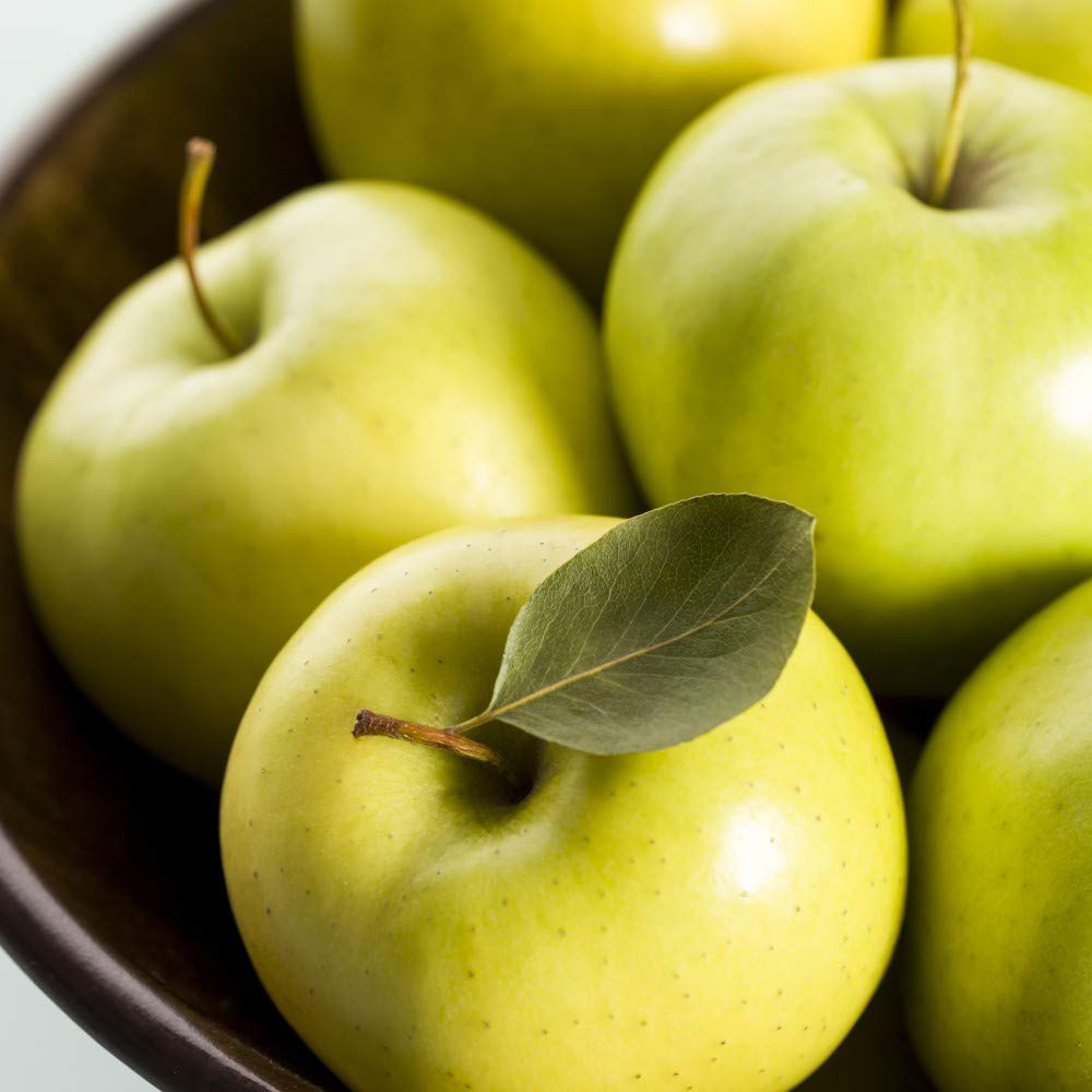 Thompson and Morgan Mini Apple Malus Yellow Golden Fruit Plant Pot 9cm Image 4
