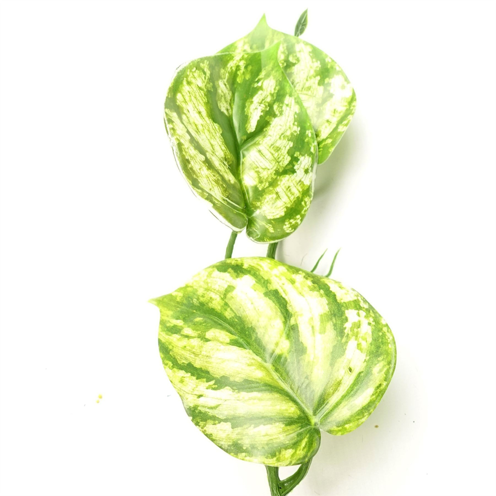 Leaf Trailing Devil's Ivy Hanging Artificial Plant 6ft Image 3