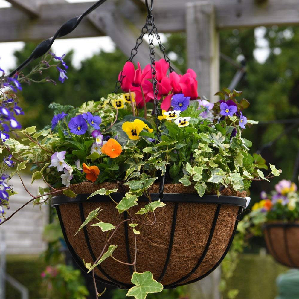 Garden Grow Hanging Basket and Liner Image 6