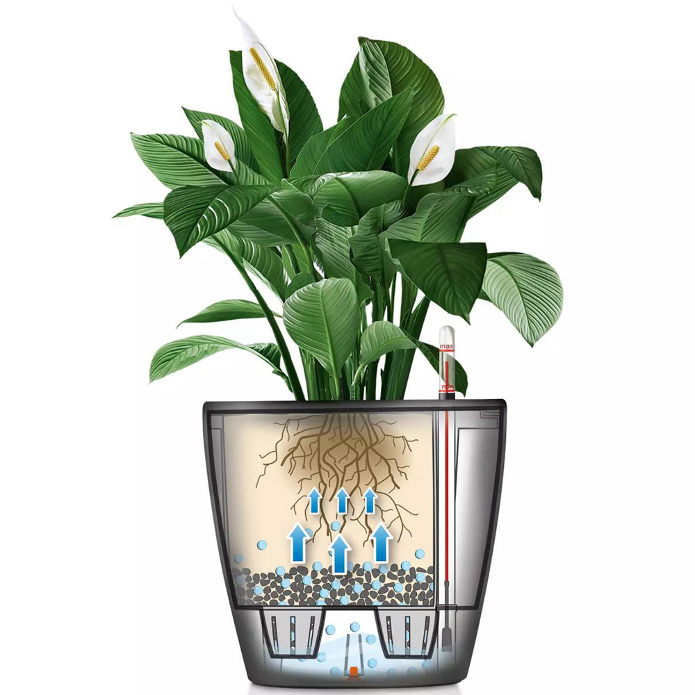Lechuza Classico 43 LS Charcoal Poly-Resin Self-Watering Planter 40cm Image 3
