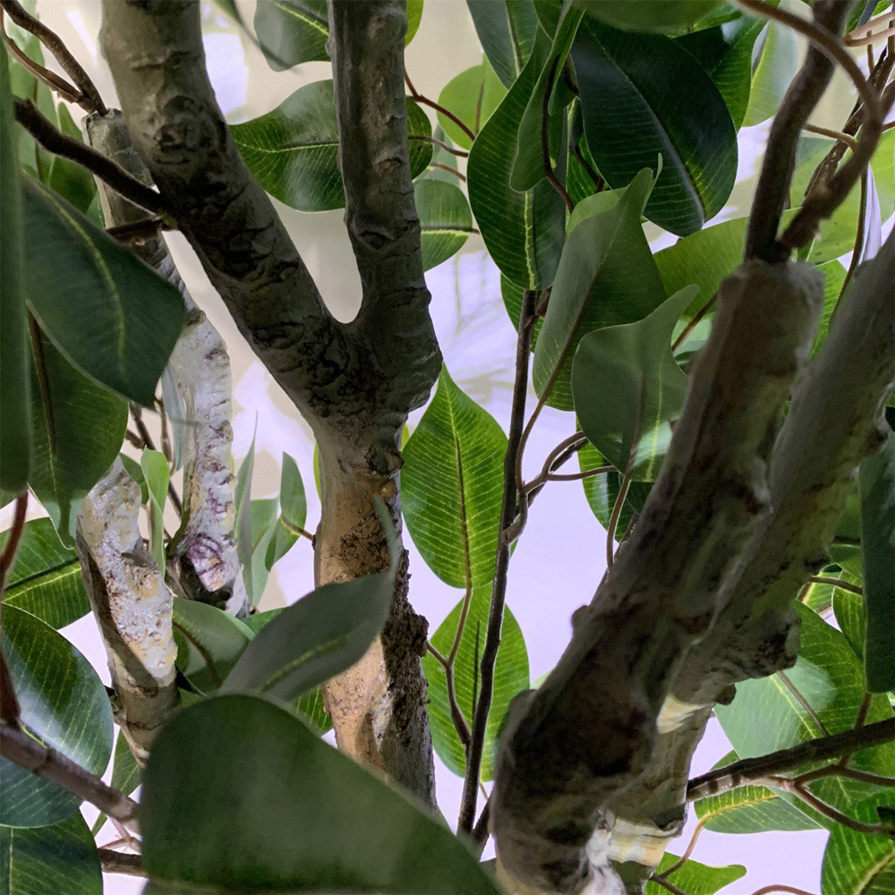Leaf Realistic Ficus Bush Artificial Plant in Silver Curve Planter 100cm Image 5