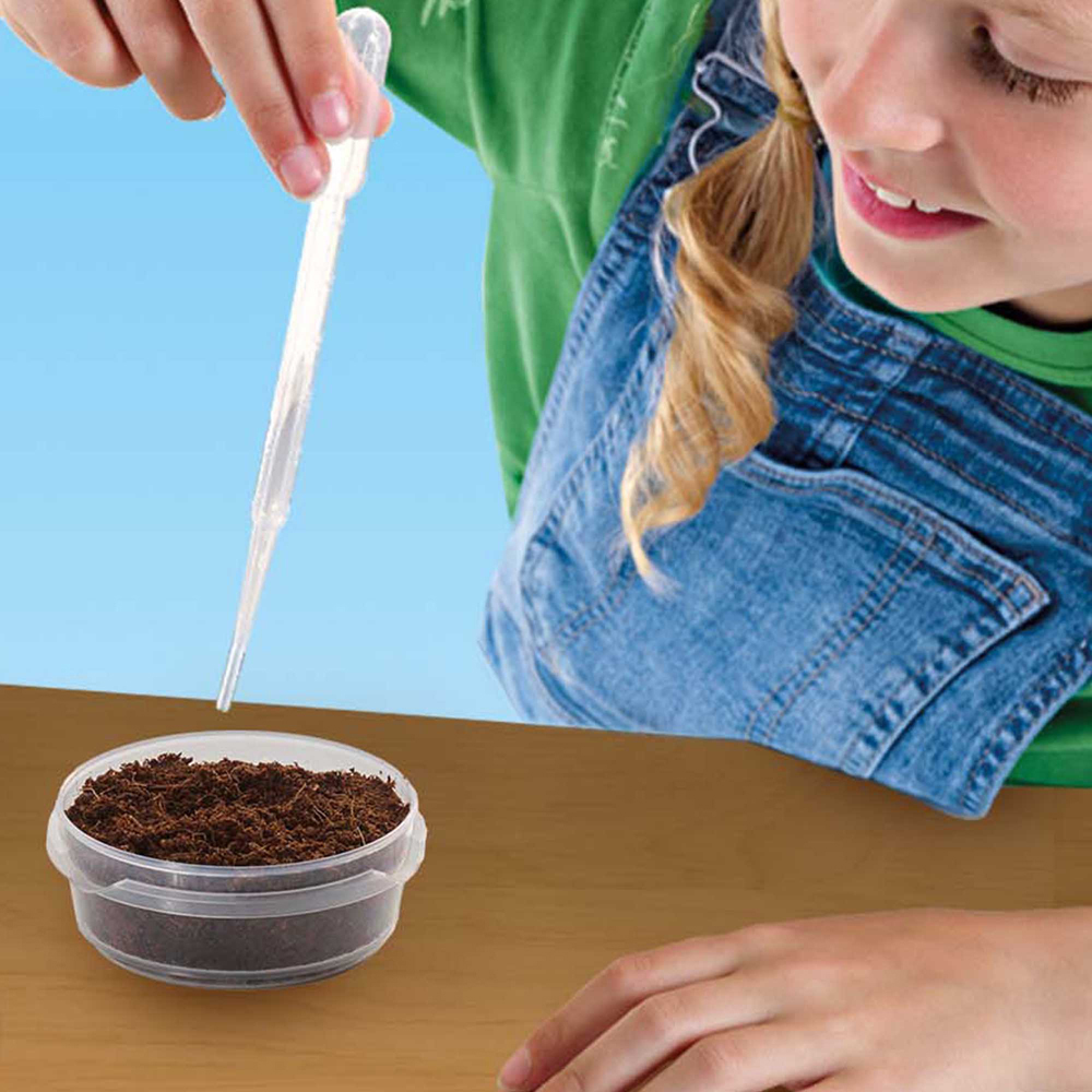 SES Creative Treehouse Garden Kit Image 5