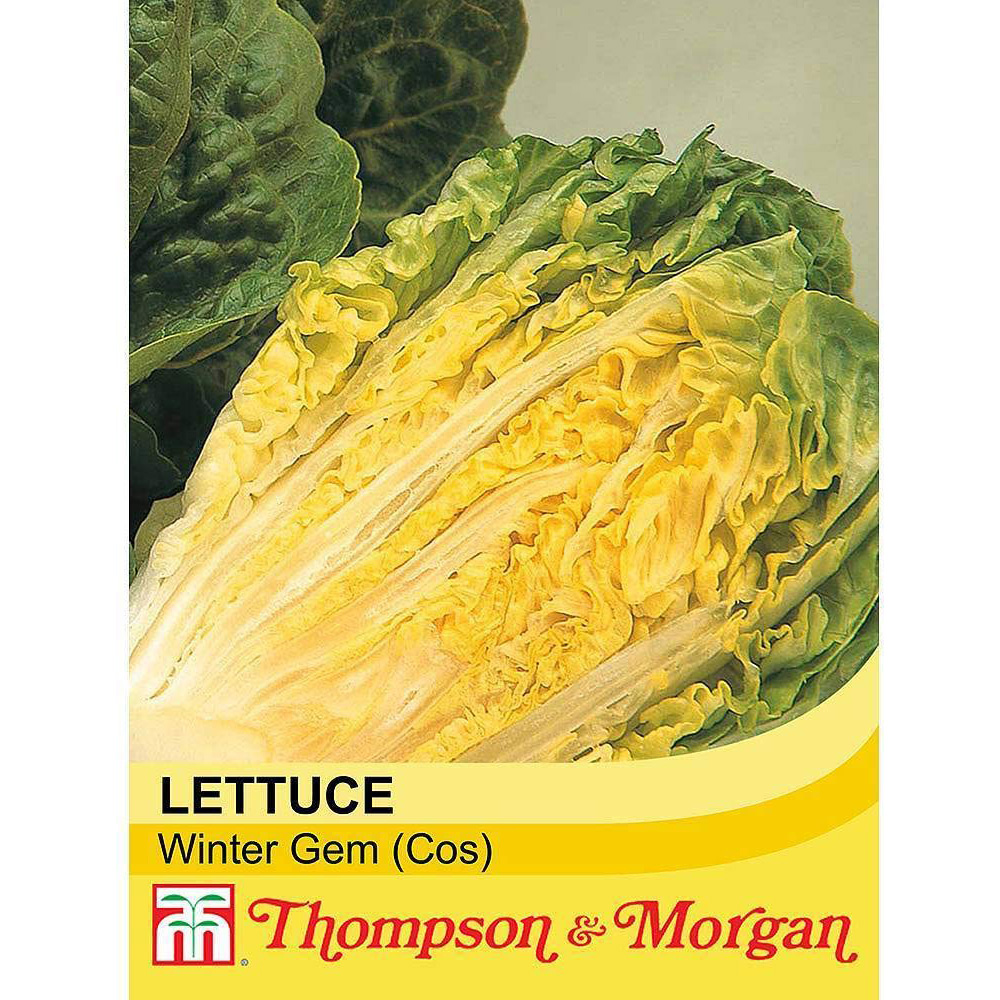 Thompson and Morgan Lettuce Romaine Cos Winter Gem Seeds Image 2