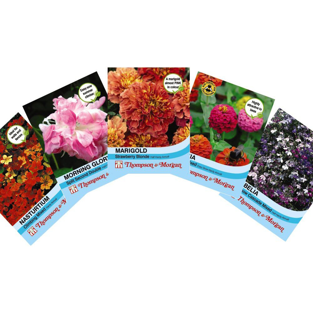 Thompson and Morgan Hanging Basket Collection Mix Postiplugs 15 Pack with Flower Seed Packet 5 Pack Image 5
