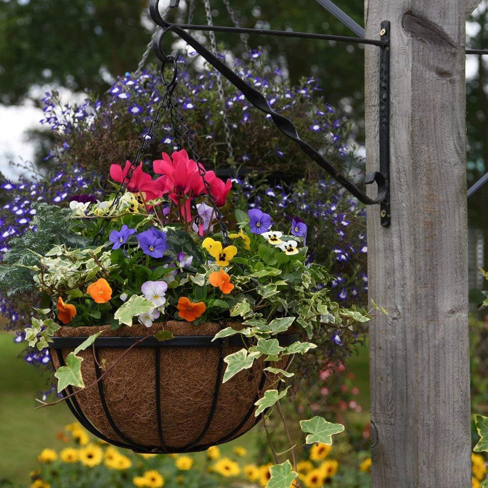 Garden Grow Hanging Basket and Liner Image 3