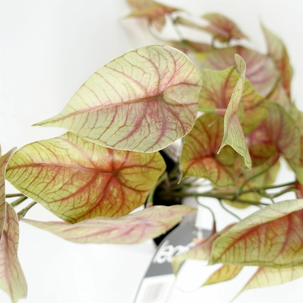Leaf Trailing Pink Caladium Artificial Plant in Pot 30cm Image 3
