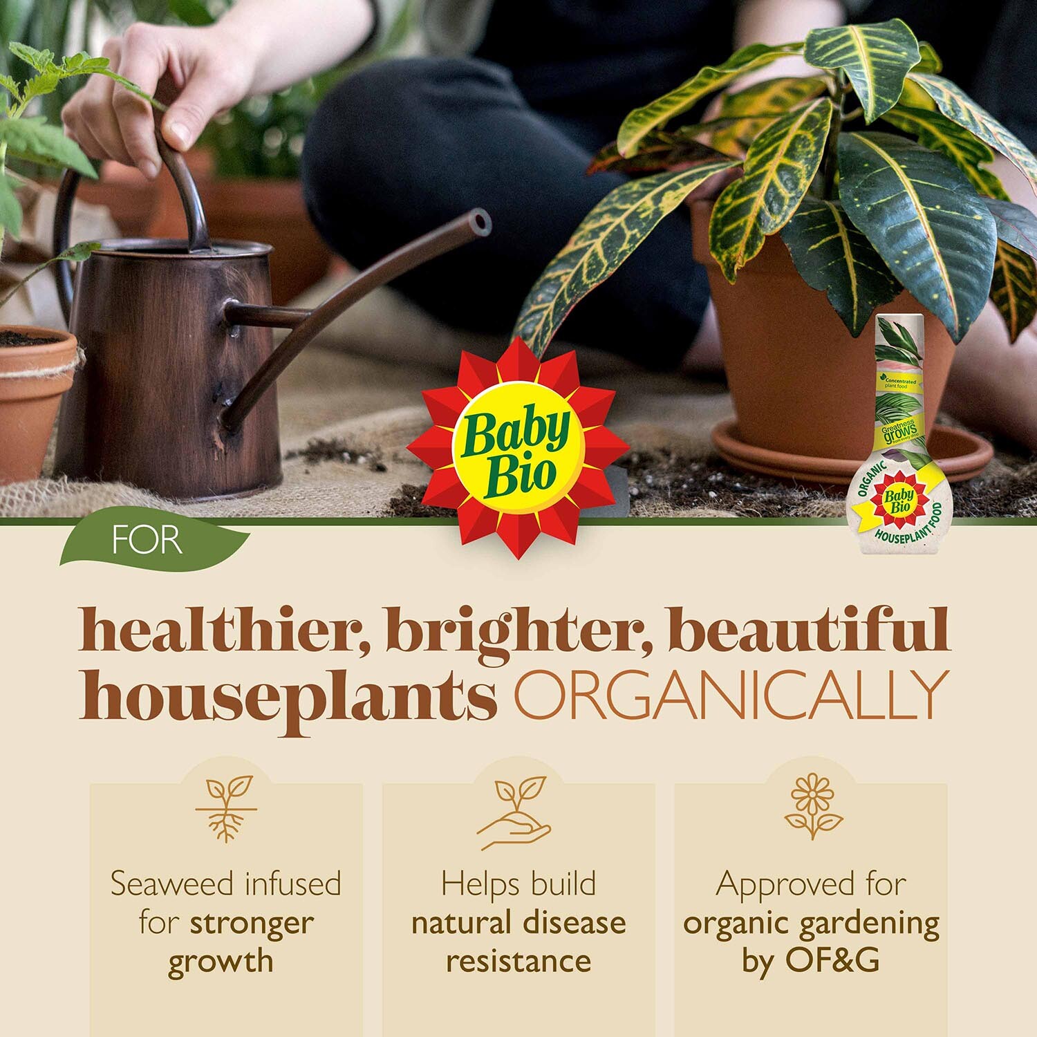 Organic Houseplant Food Image 4