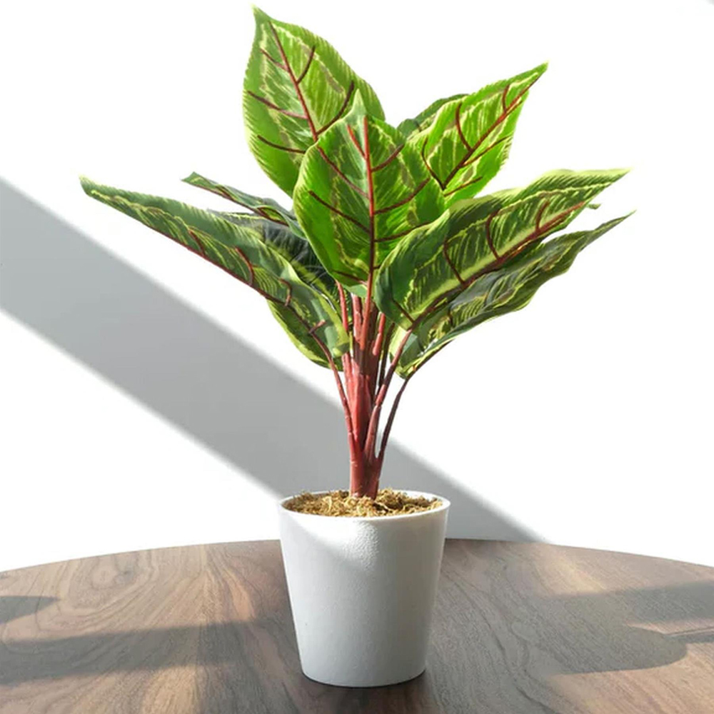 Leaf Calathea Veitchiana Artificial Plant in Pot 38cm Image 2