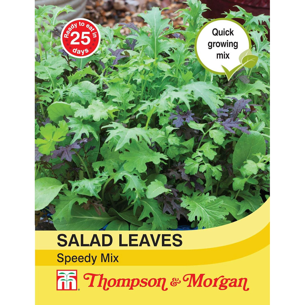 Thompson & Morgan Salad Leaves Speedy Seeds Image 2