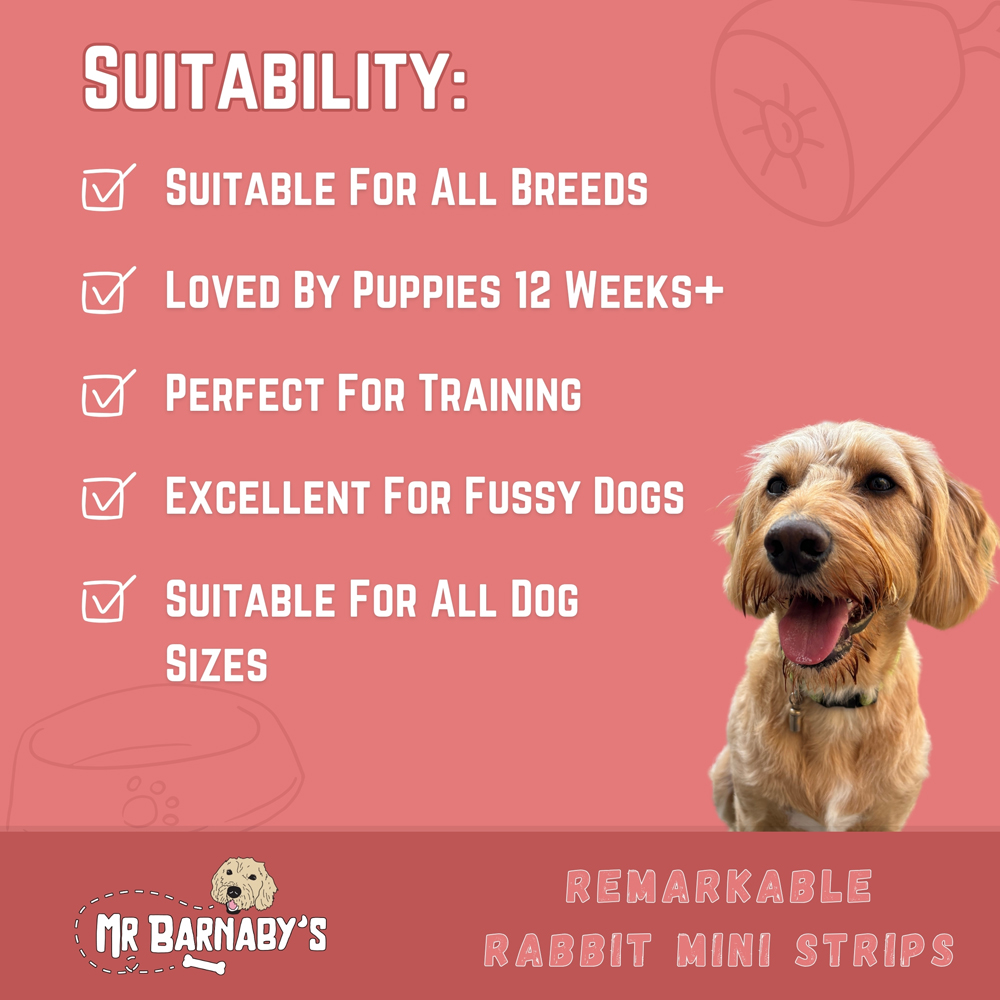 Mr Barnaby's Remarkable Rabbit Mini Strips Dog Treats 4 Pack Image 5