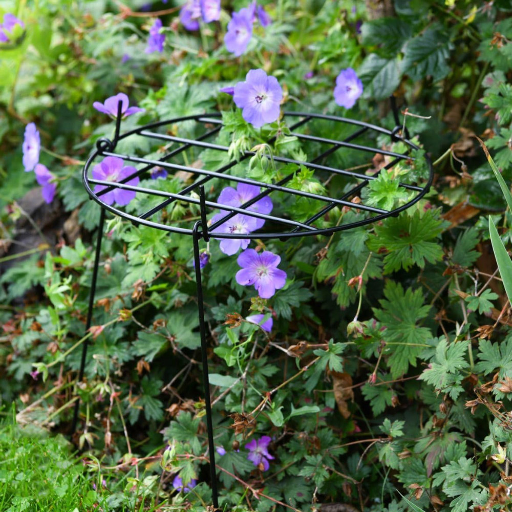 Garden Gear Medium Round Grow Through Grid Support 50 x 30 x 30cm 5 Pack Image 2