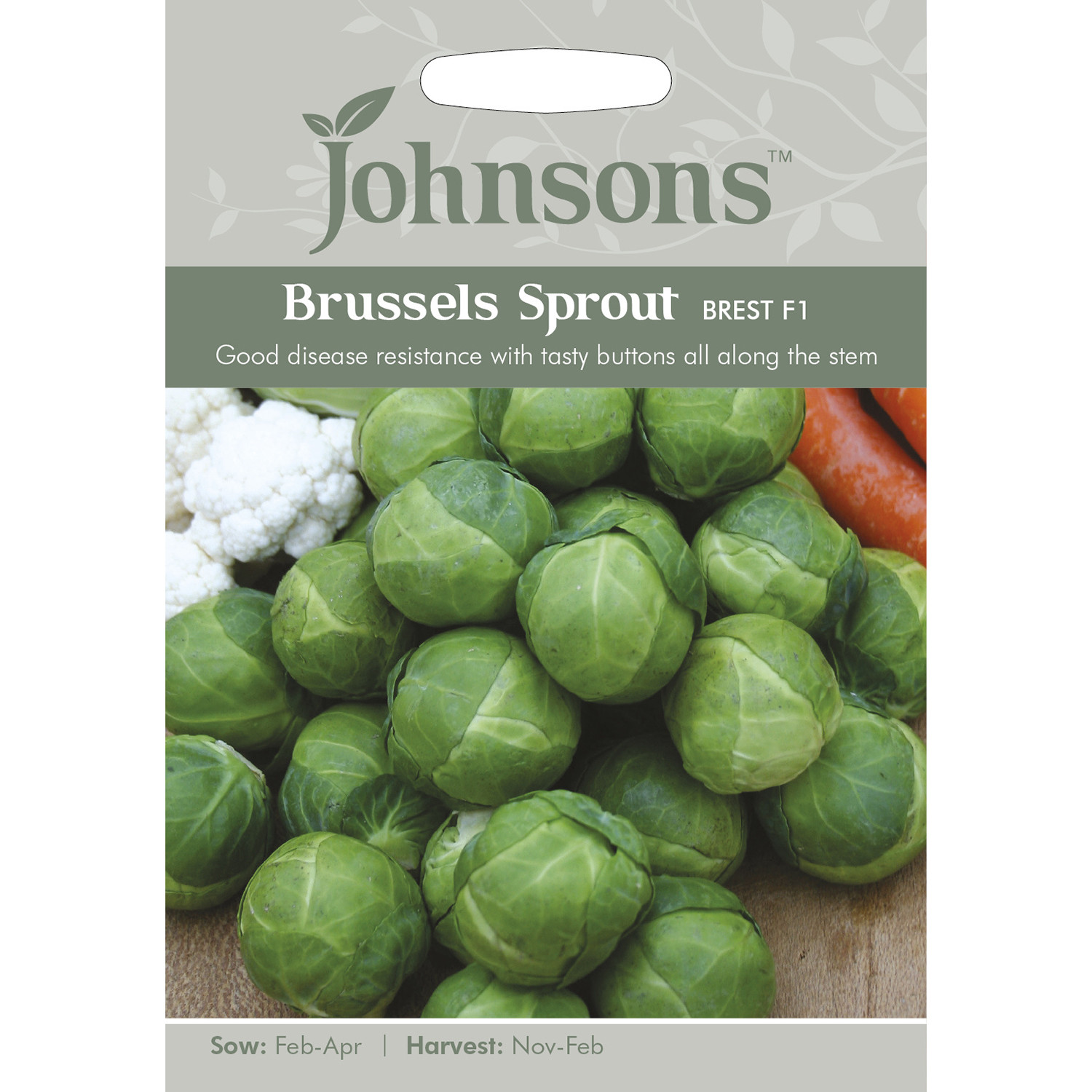 Johnsons Brest F1 Brussels Sprout Seeds Image 2