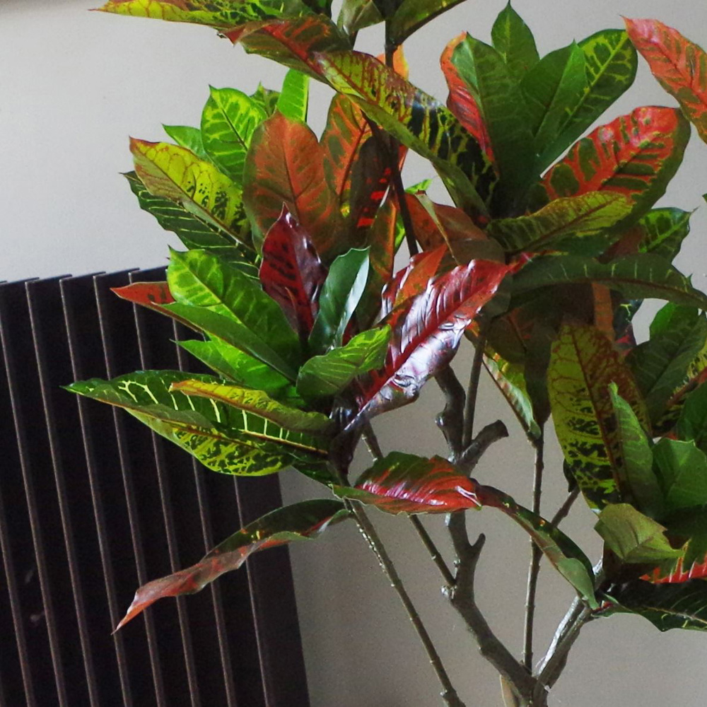 Leaf Artificial Codiaeum Multicoloured Tree 130cm Image 4