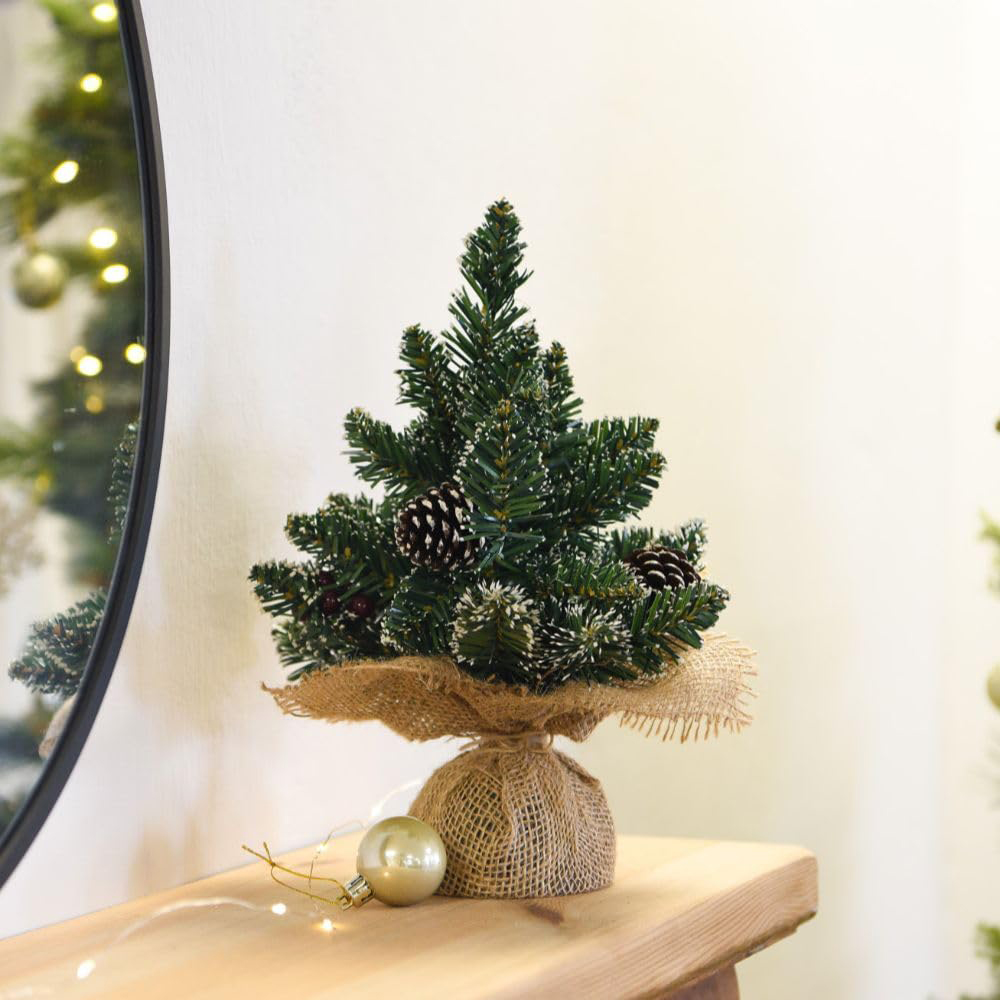 Thompson and Morgan Gift Derby Table Top Xmas Tree 30cm 2 Pack Image 2