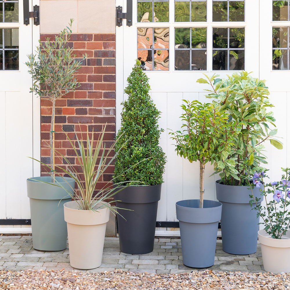 Ivyline Cleo Anthracite High Planter 55cm Image 5