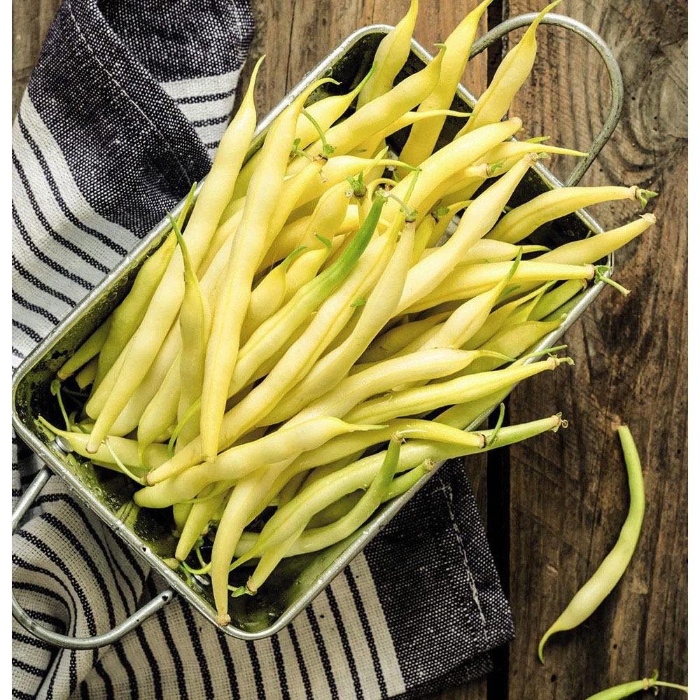 Thompson and Morgan Bean Dwarf French Adoration Yellow Seeds Image 2