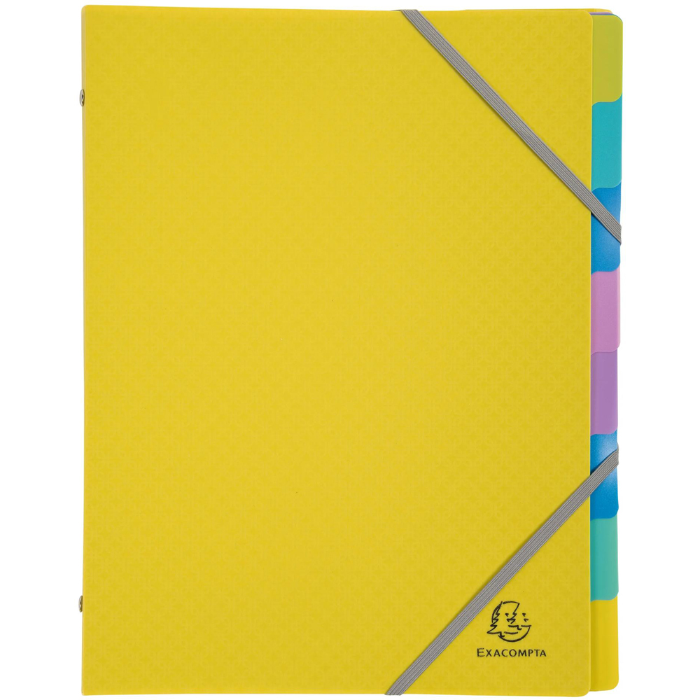 Exacompta A4 Multicolour PP 3 Recycled Multipart File 8 Pack Image 3