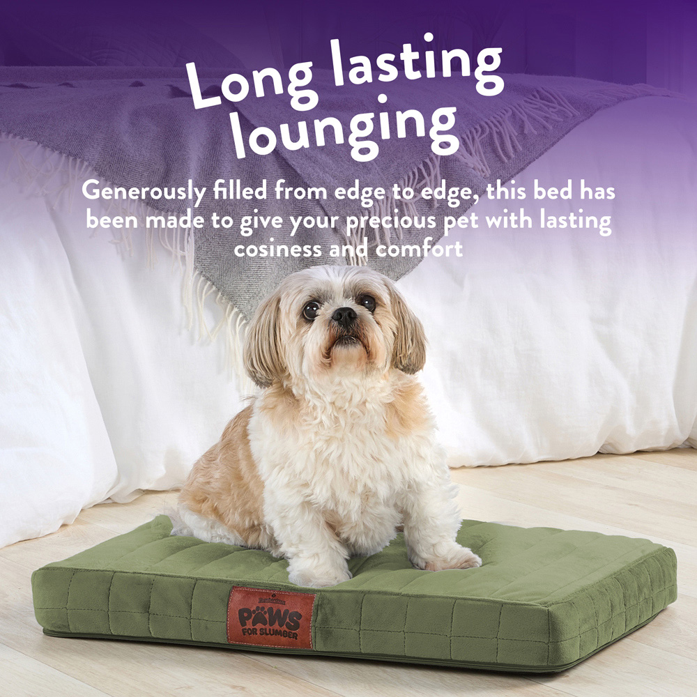 Slumberdown Medium Green Orthopaedic Pet Bed Image 4