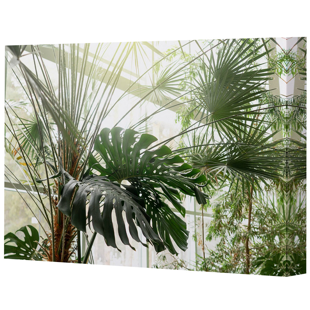 Benjamin Tate Design Green Plants in Botanical Garden Canvas 152 x 101cm Image 1