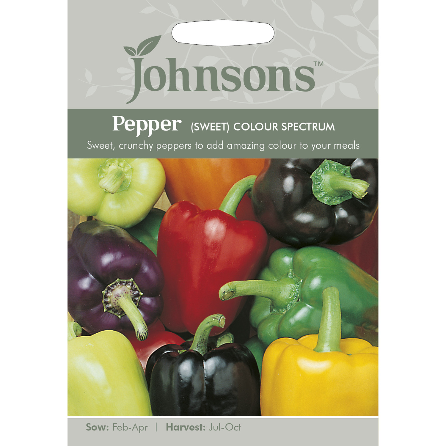 Johnsons Colour Spectrum Sweet Pepper Seeds Image 2