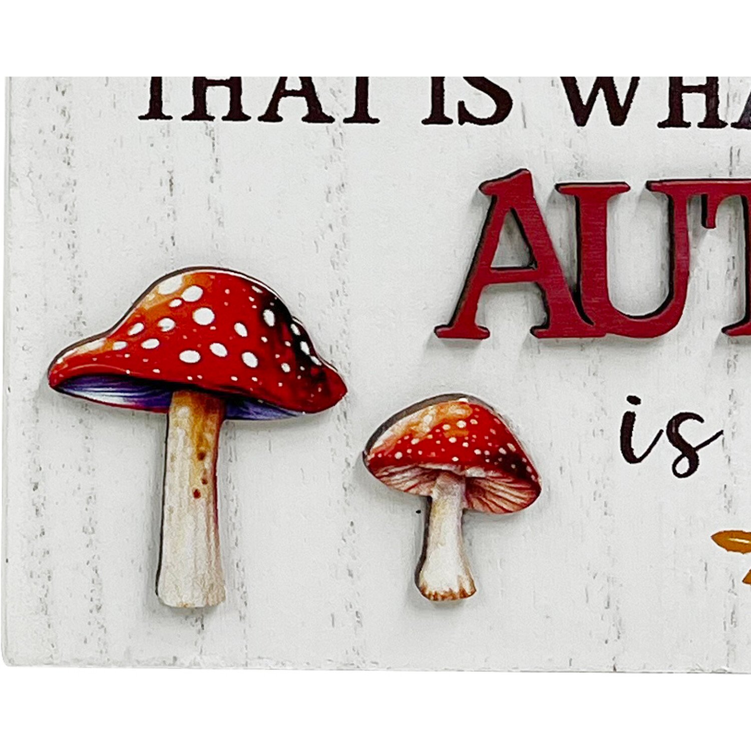 What Is Autumn Sentiment Sign - White Image 3