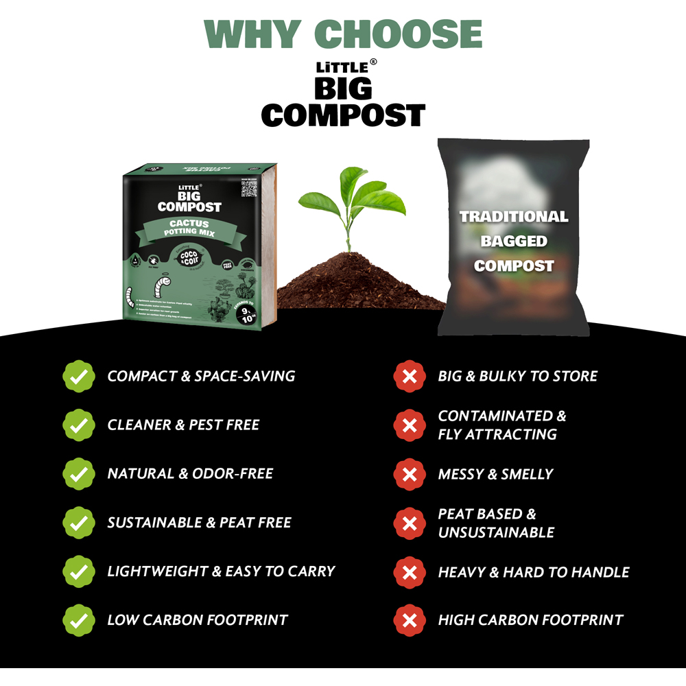 Coco & Coir Little Big Compost Cactus Compost 9L Image 6