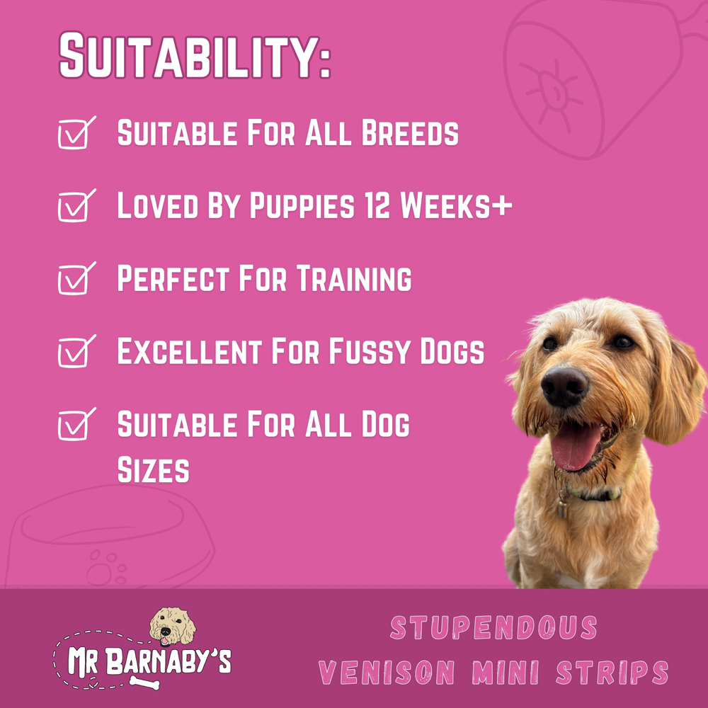 Mr Barnaby's Stupendous Venison Mini Strips Dog Treats 6 Pack Image 5