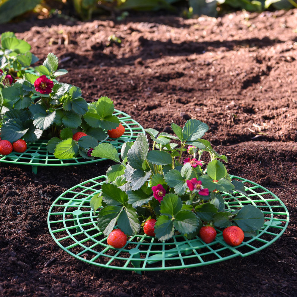 Garden Gear Strawberry Support Image 2