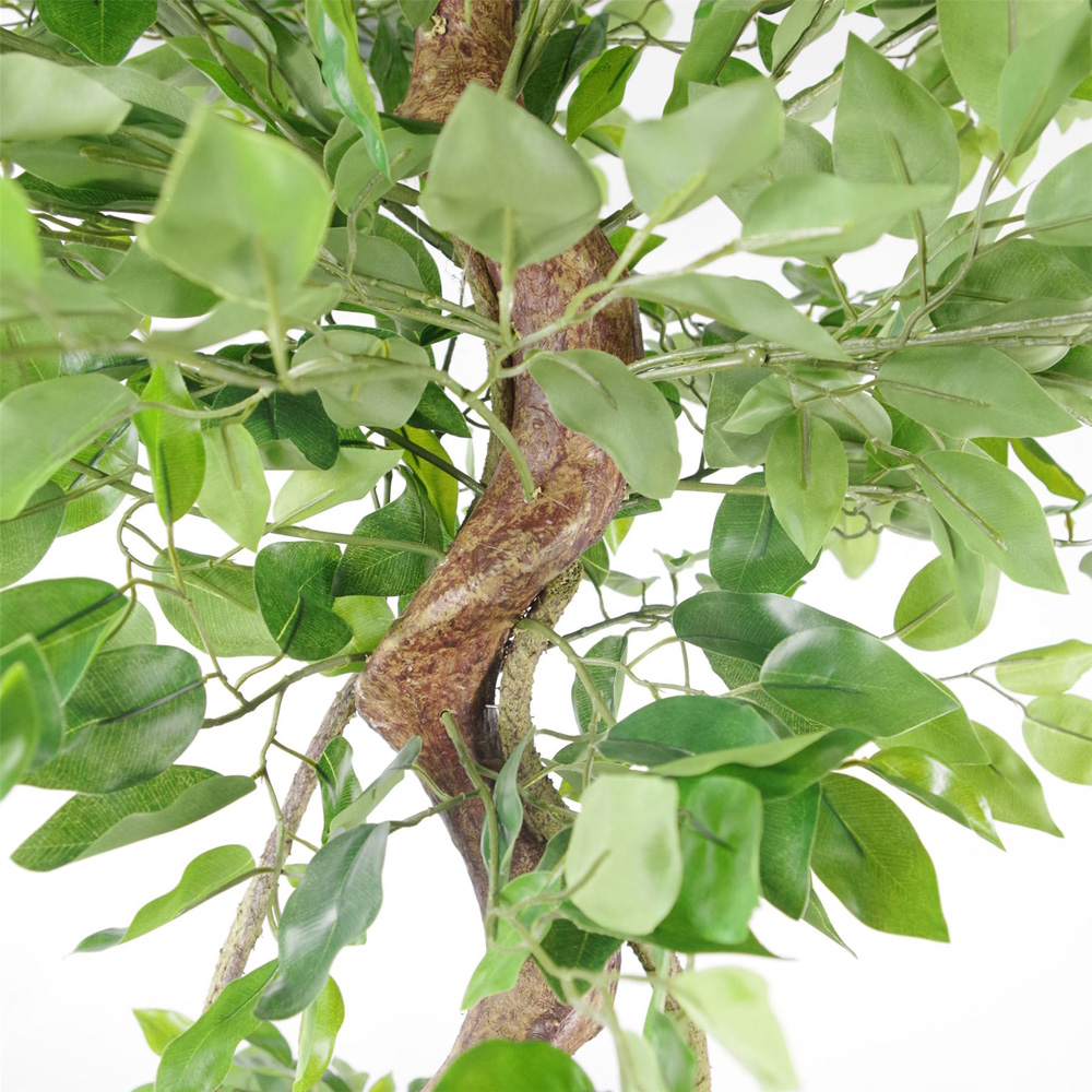 Botanik Japanese Fruticosa Ficus Artificial Tree with Twisted Trunk in Gold Metal Planter 5ft Image 4
