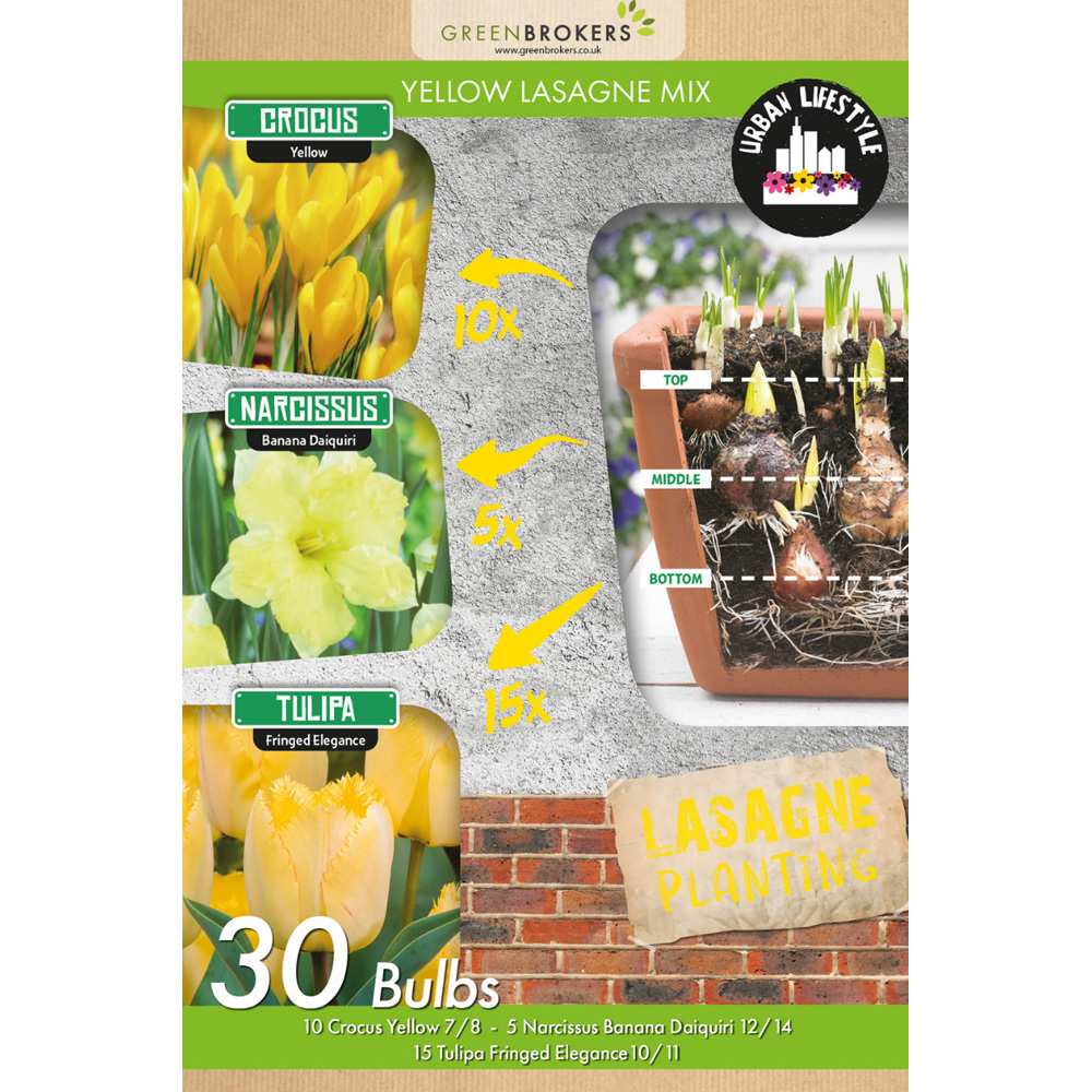 GreenBrokers Yellow Lasagne Bee Friendly Mixed Planting Spring Bulb 30 Pack Image 2