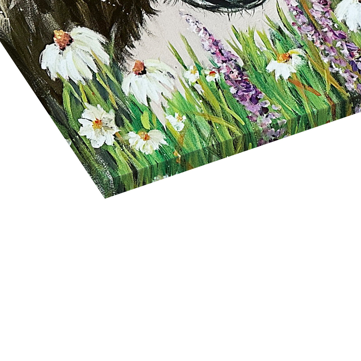 Louise Brown Donkey Trio Canvas Art Image 4