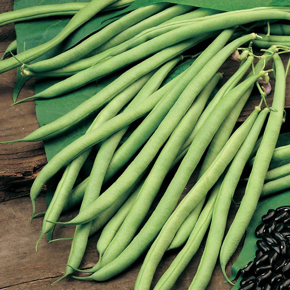 Thompson & Morgan Climbing Bean Cobra Seed Packet Image 1