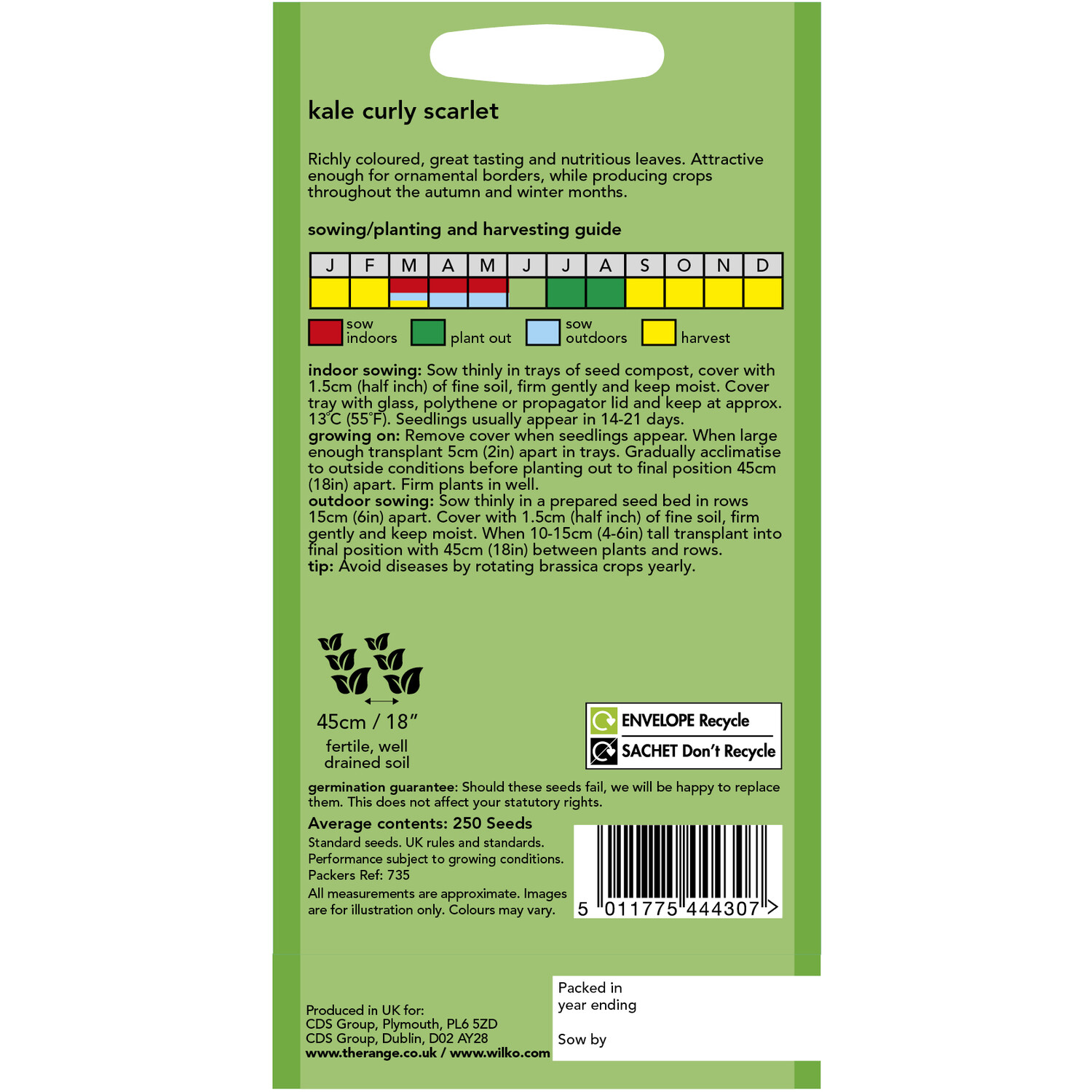 Wilko Kale Curly Scarlet Seeds Image 2