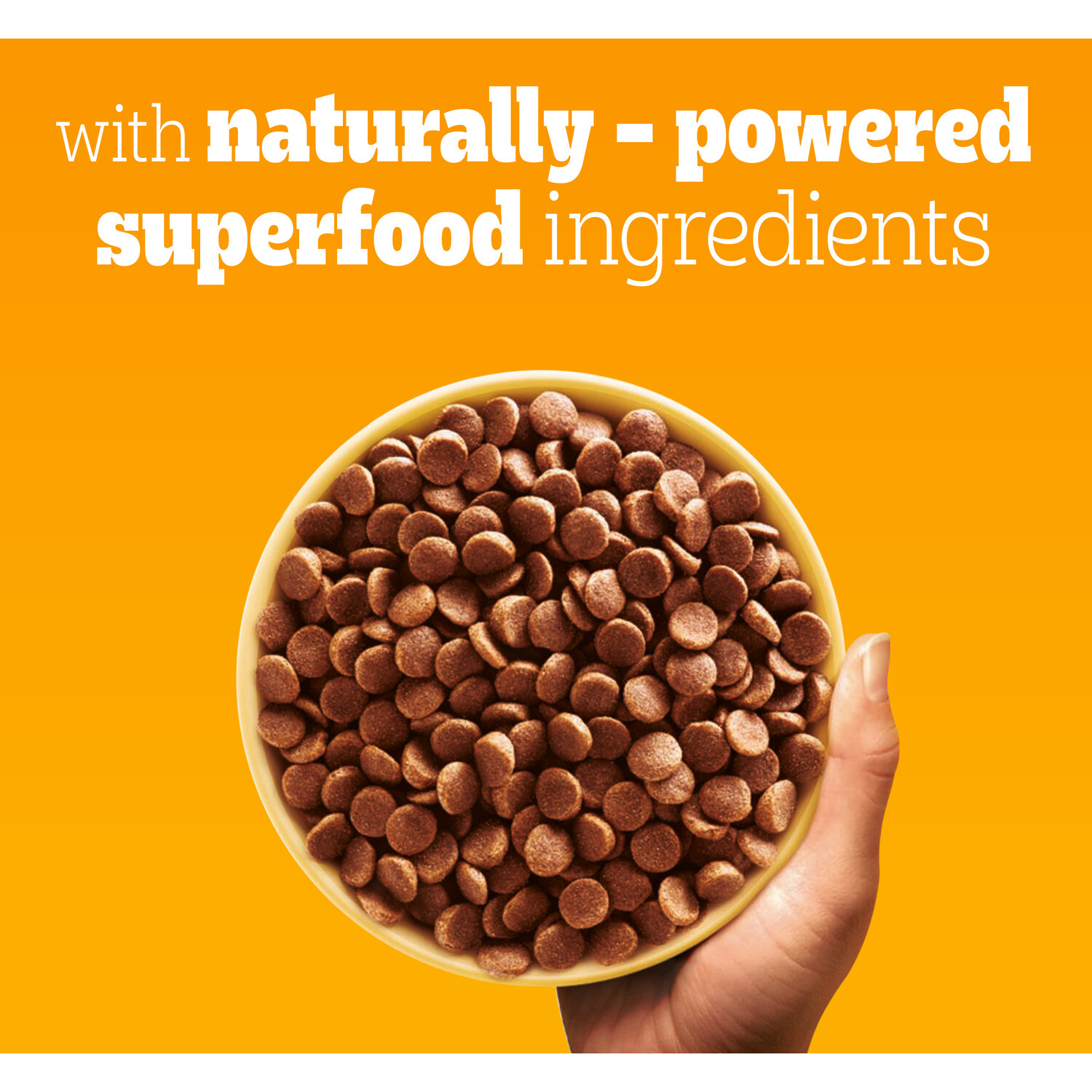 Pedigree Complete Small Dog Food Image 6