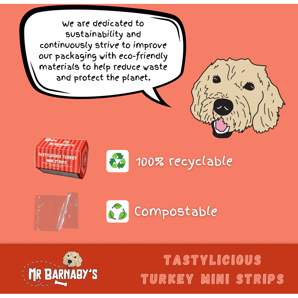 Mr Barnaby's Tastylicious Turkey Mini Strips Dog Treats 4 Pack Image 7