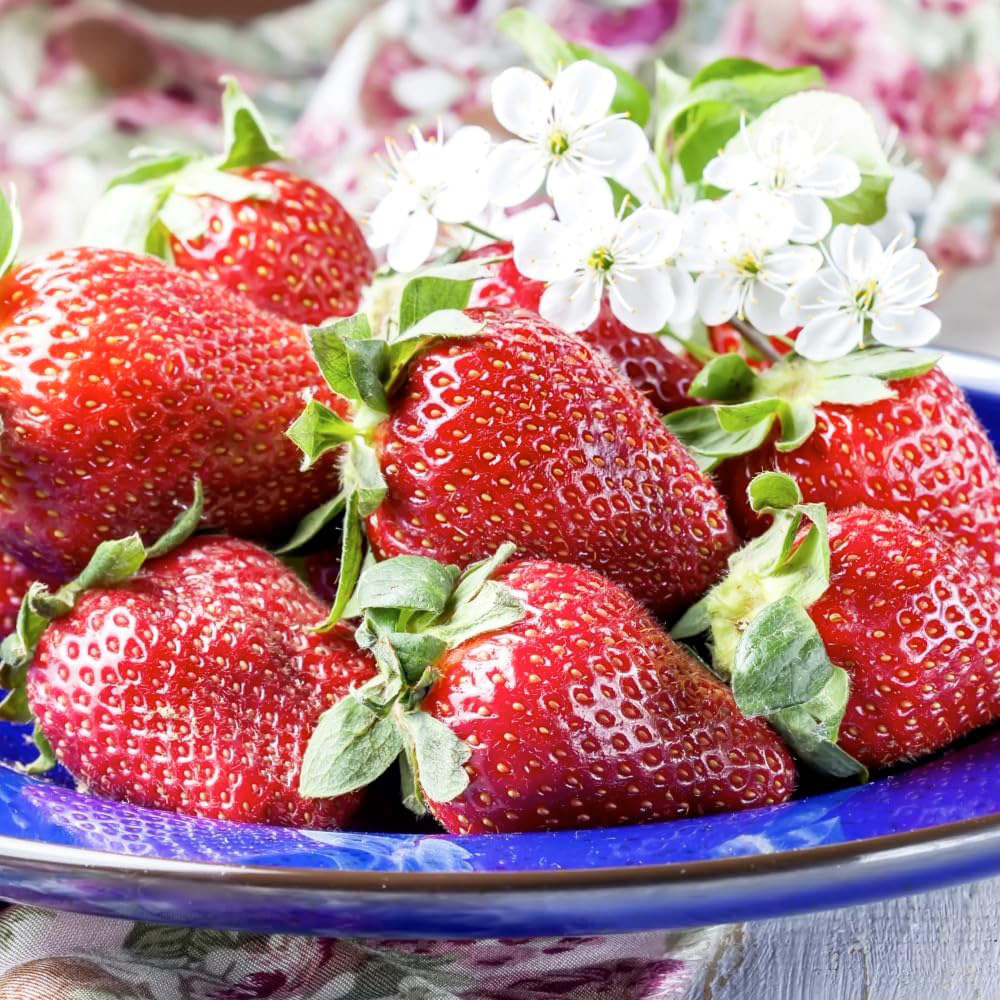 Thompson and Morgan Strawberry Collection Bare Root 48 Pack Image 3