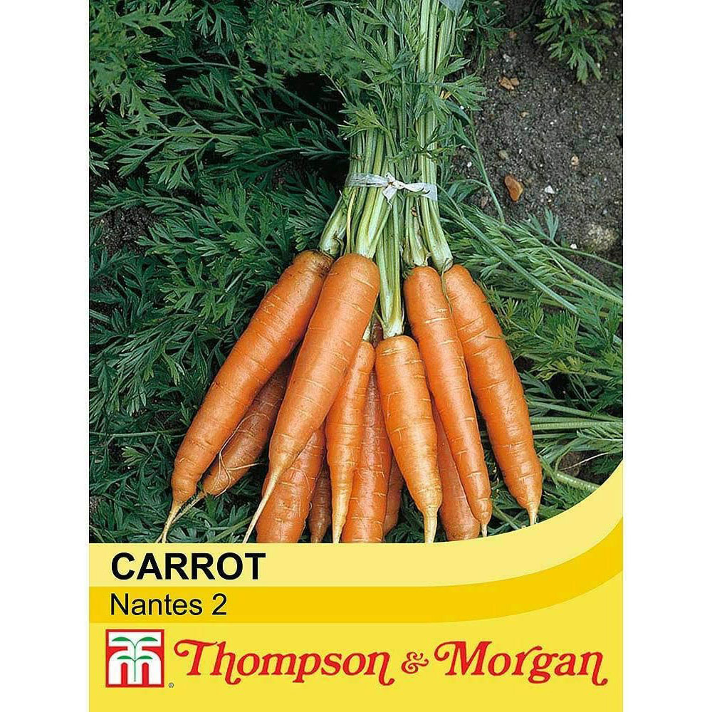 Thompson & Morgan Organic Carrot Nantes 2 1000 Seeds Packet Image 2