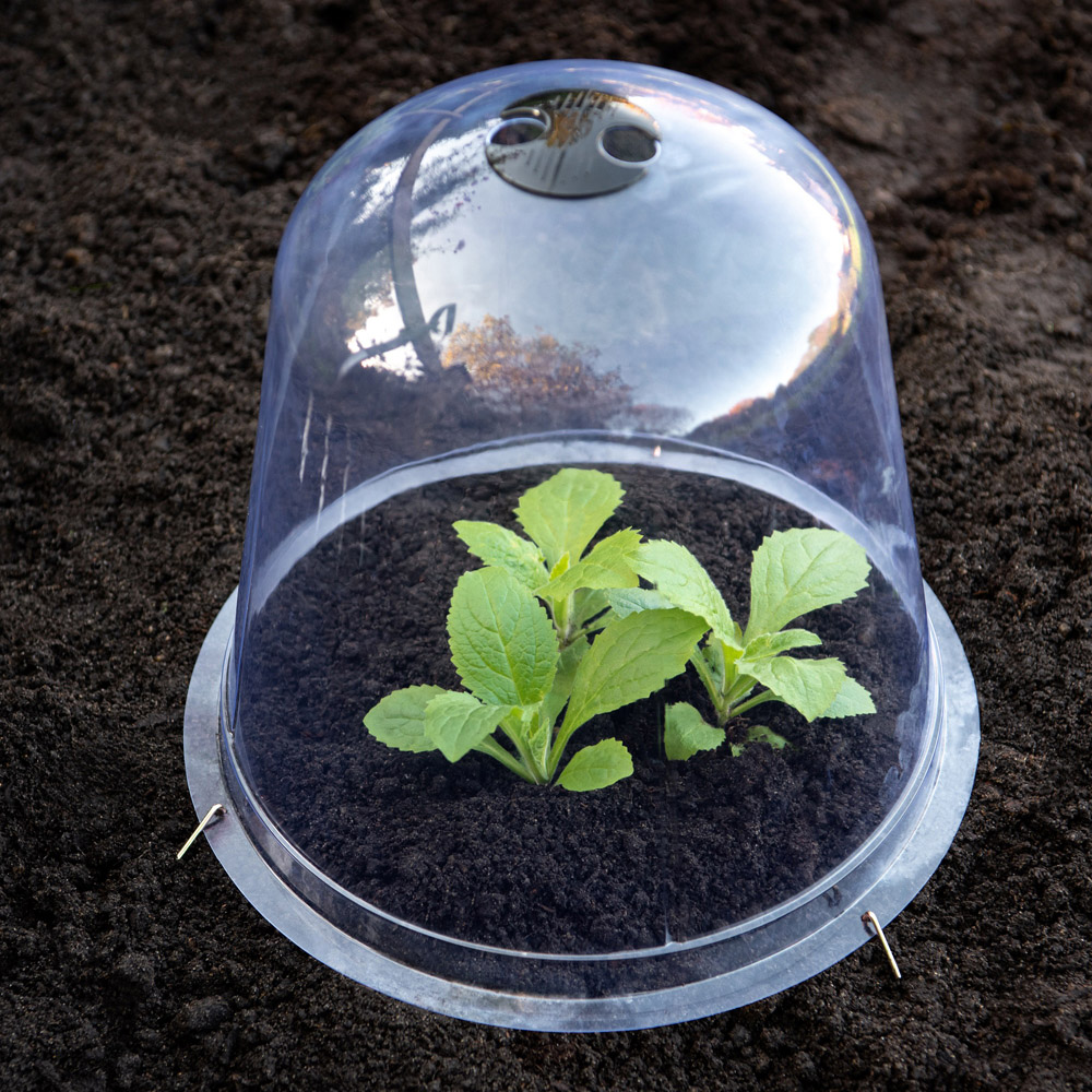 Garden Gear Bell Cloche 33.5 x 30cm Image 3