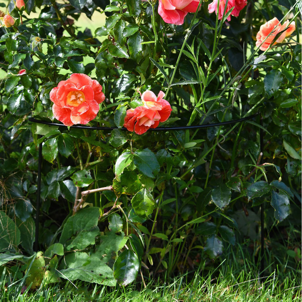 Garden Gear Half Round Plant Support 40cm 4 Pack Image 2