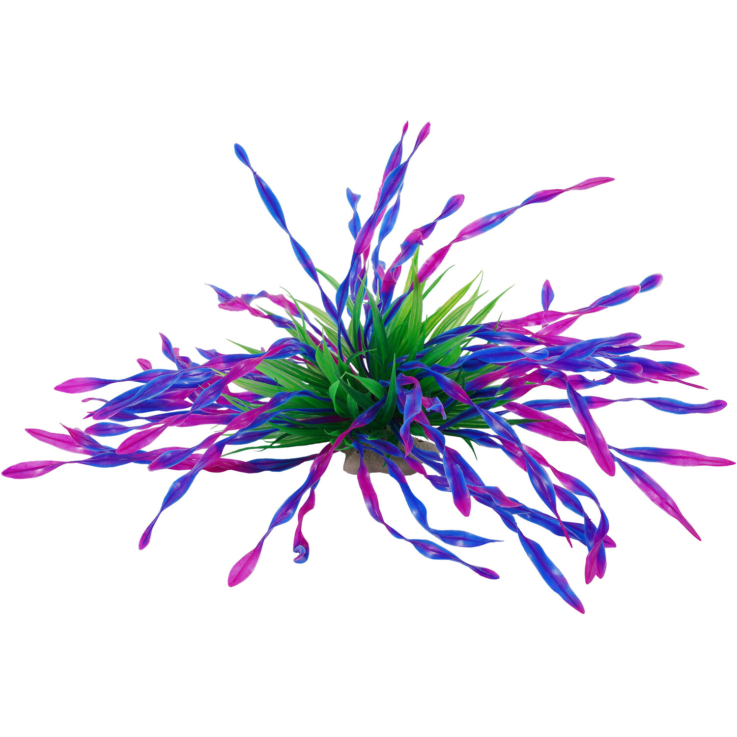 Seagrass Bush - S Image 5