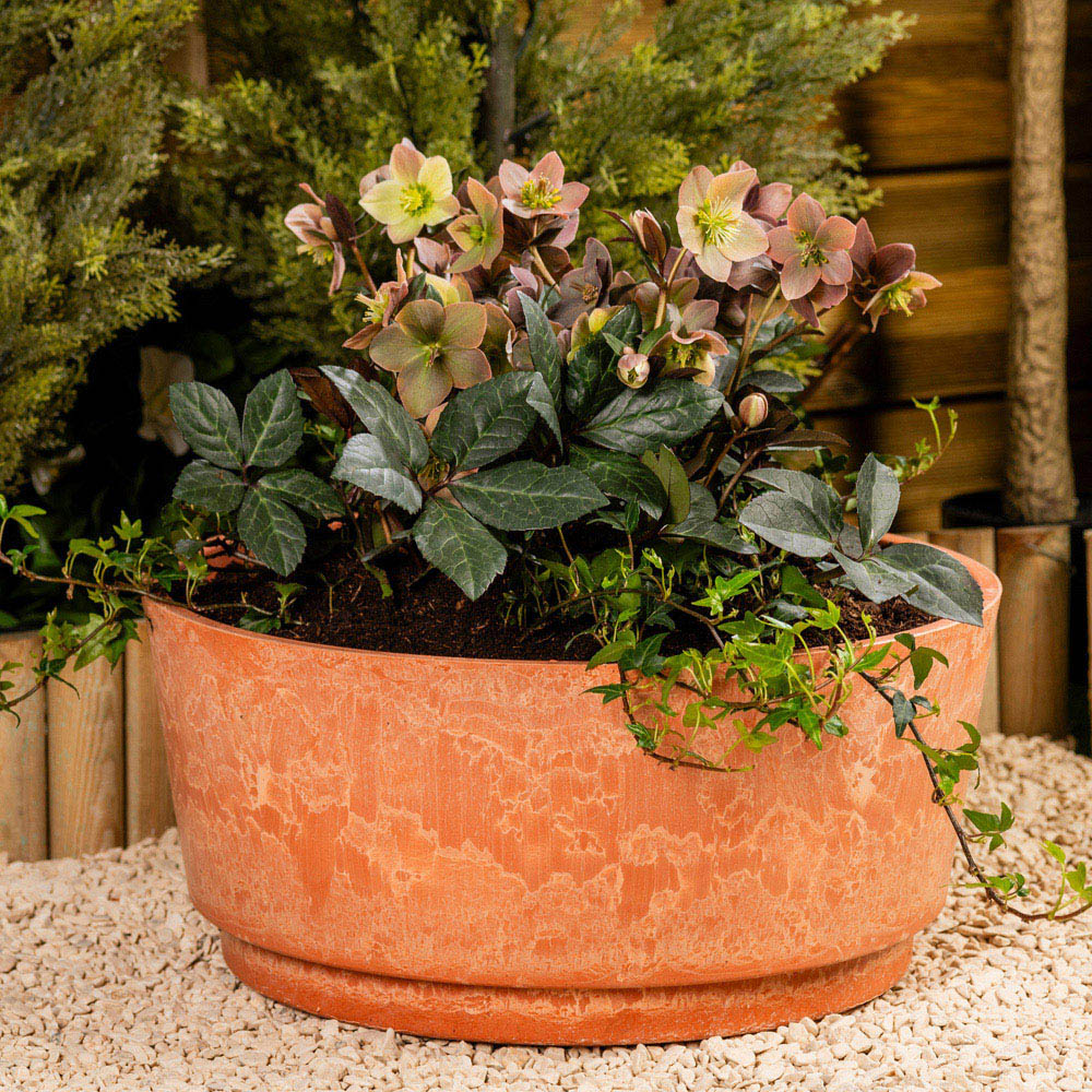 Garden Gear Caesar Terracotta Marble Effect Bowl Planter 46cm 2 Pack Image 2