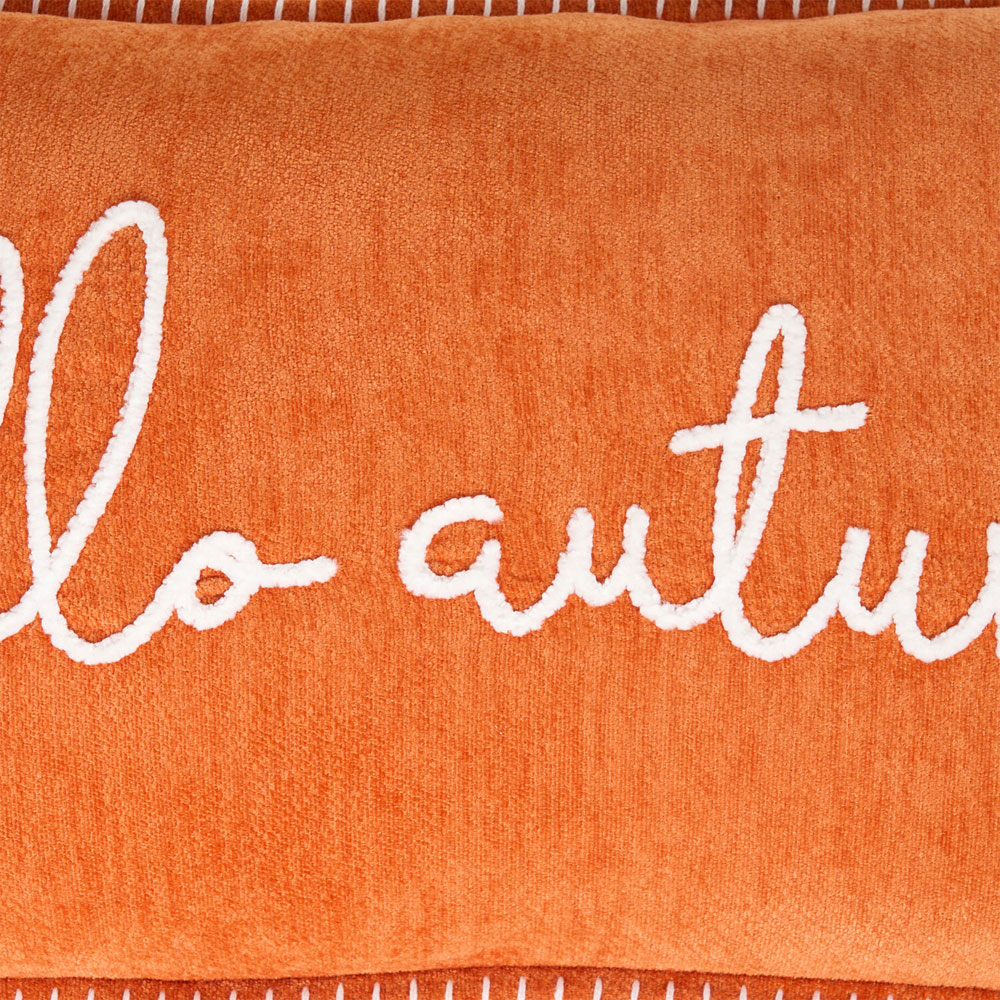Hello Autumn Cushion Orange Image 2