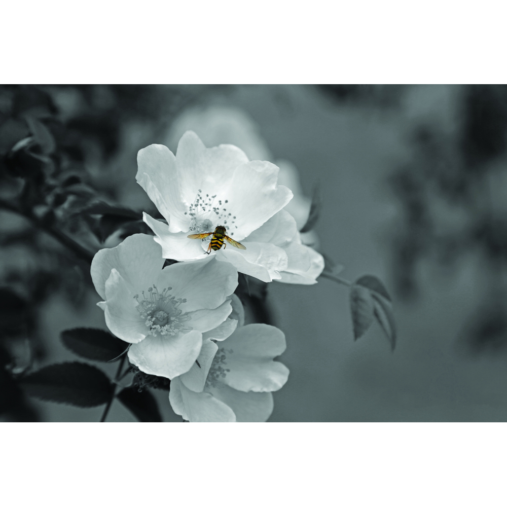 Mirrorstone Nexus Pollination Image Wi-Fi Infrared Heating Panel 900W 795 x 1195mm Image 4