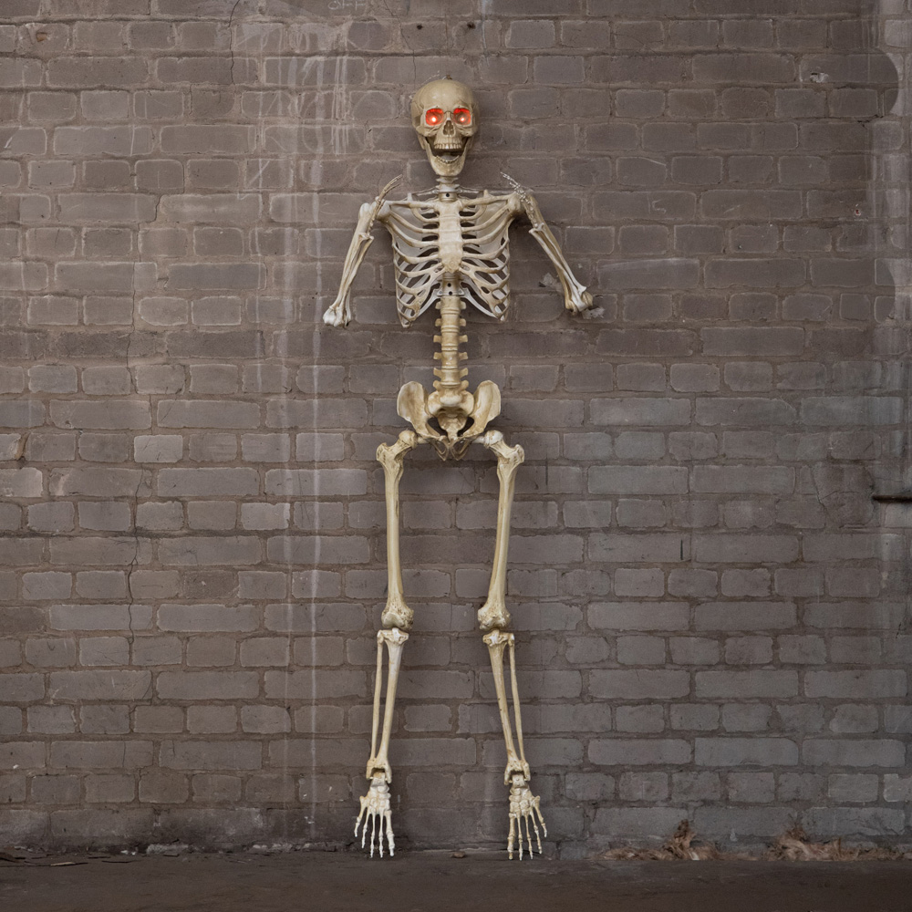 Samuel Alexander Light Up Posable Full Body Skeleton Halloween Decoration 5ft Image 3