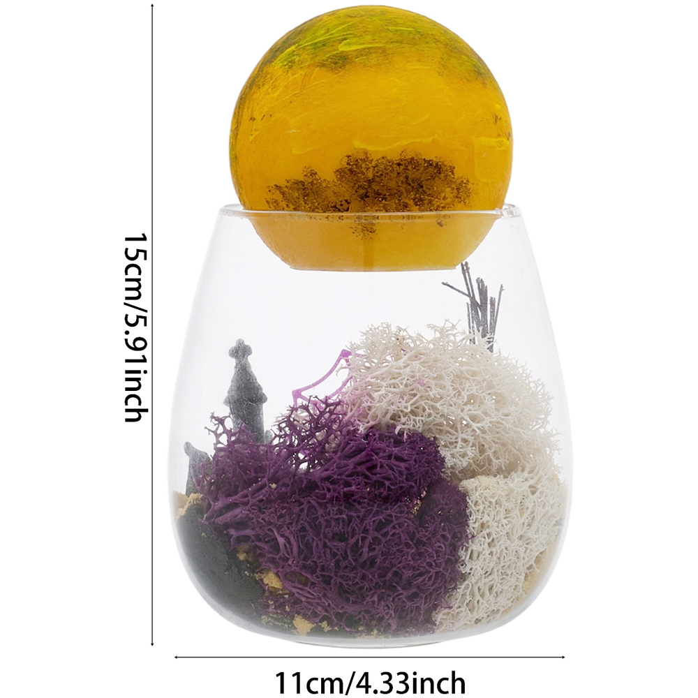 H&O Direct Kids DIY Skull LED Terrarium Kit with Remote Image 6