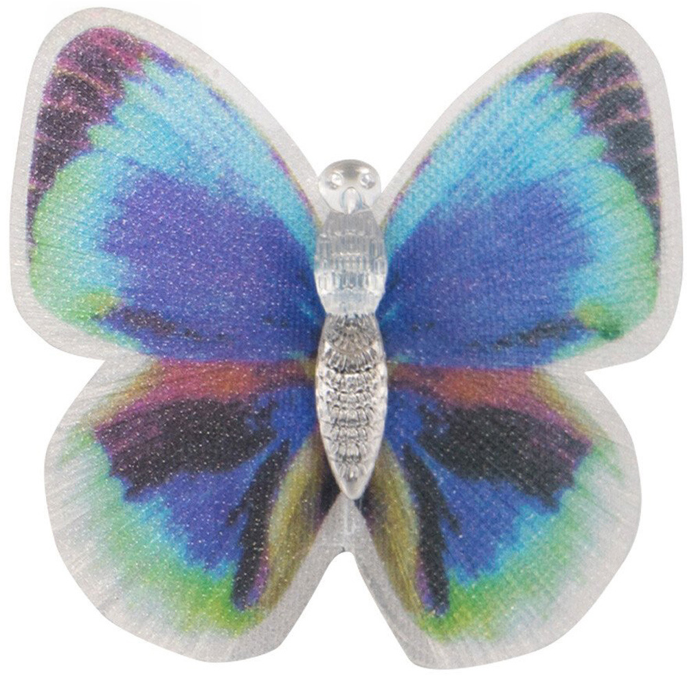 Colour Changing Butterfly Image 4