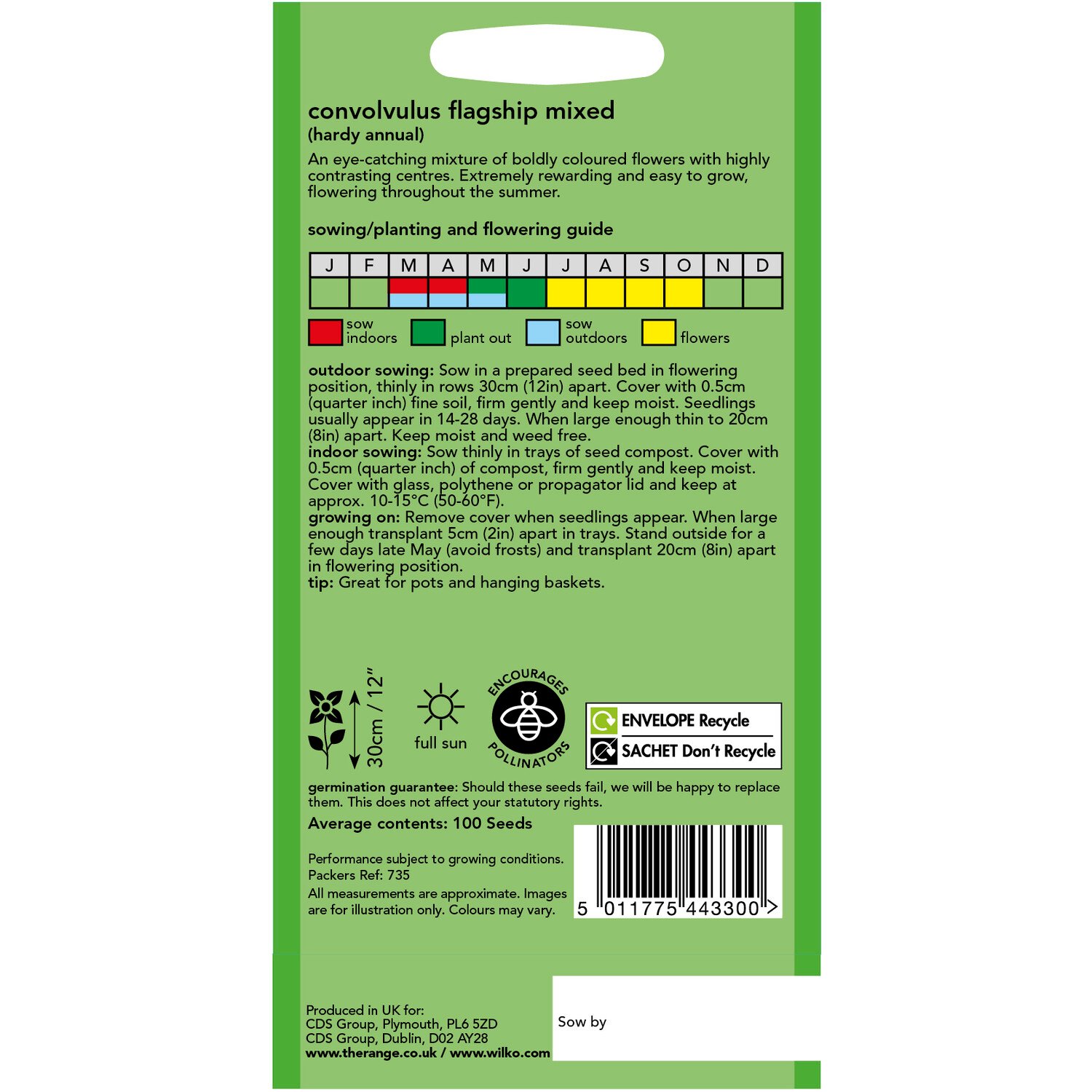 Wilko Convolvulus Flagship Mix Seeds Image 2