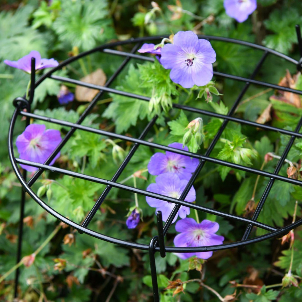 Garden Gear Medium Round Grow Through Grid Support 50 x 30 x 30cm 5 Pack Image 3