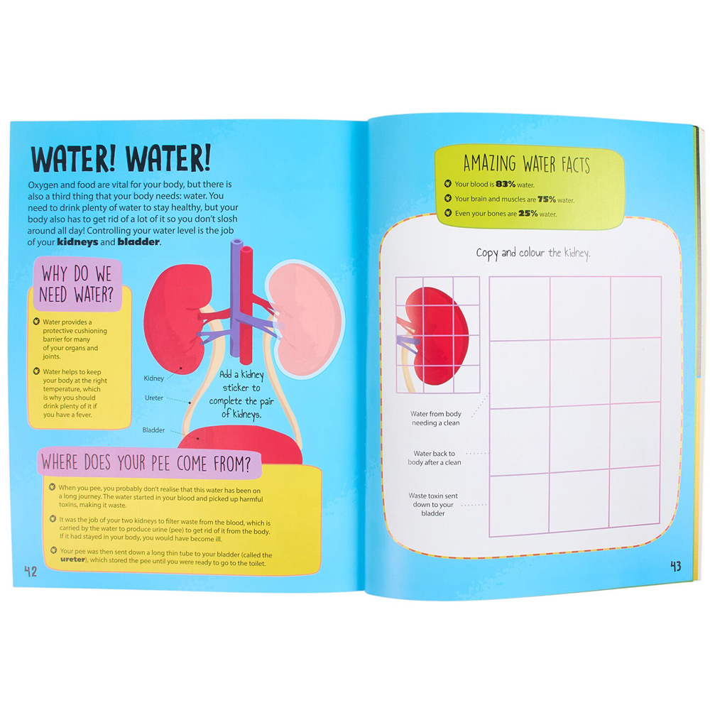 Human Body Sticker Activities Image 4